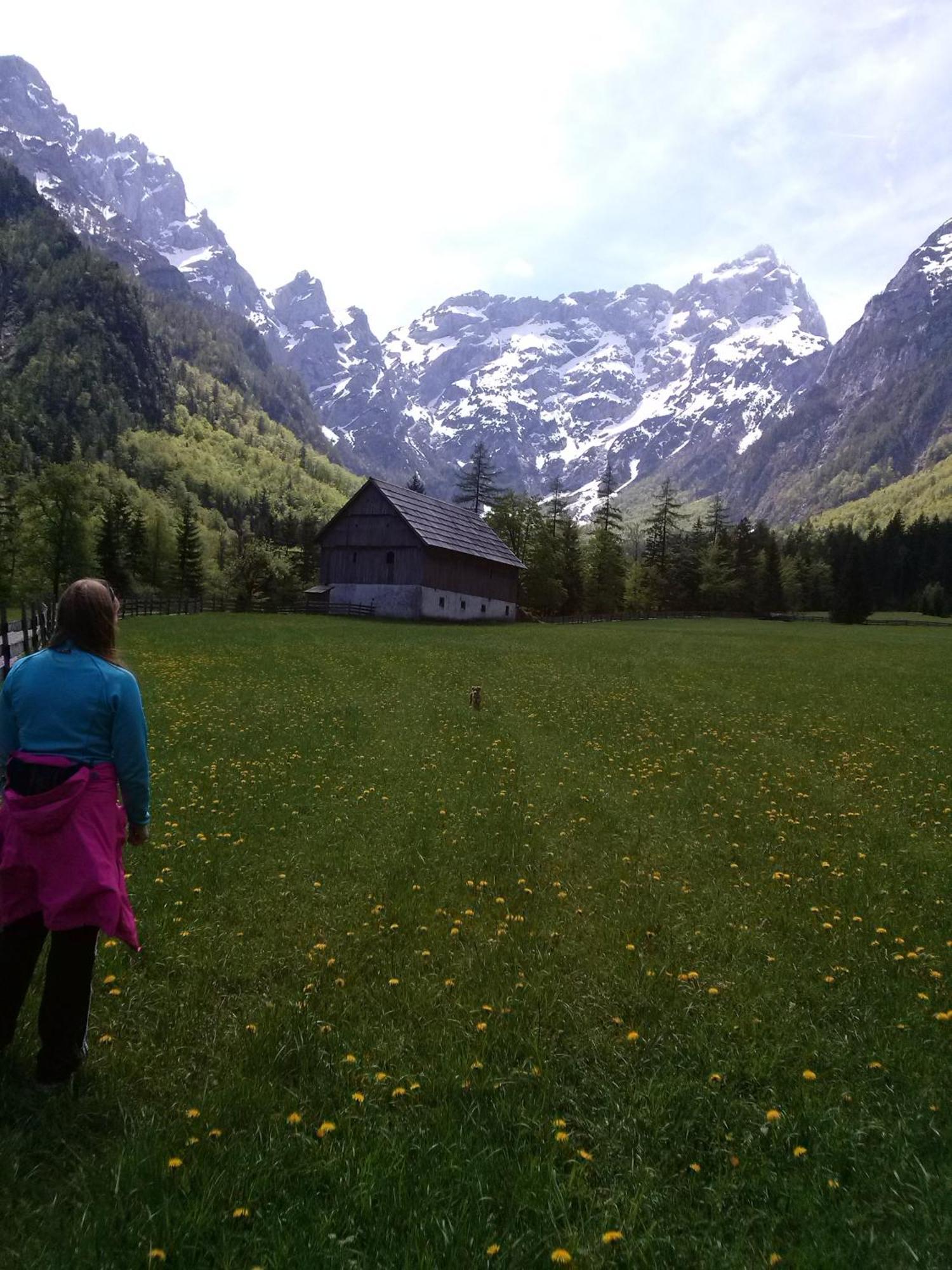 Farmhouse Štiftar Solčava Exteriör bild