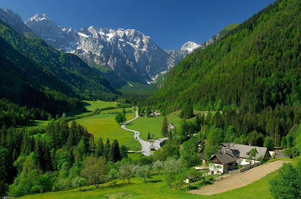 Farmhouse Štiftar Solčava Exteriör bild