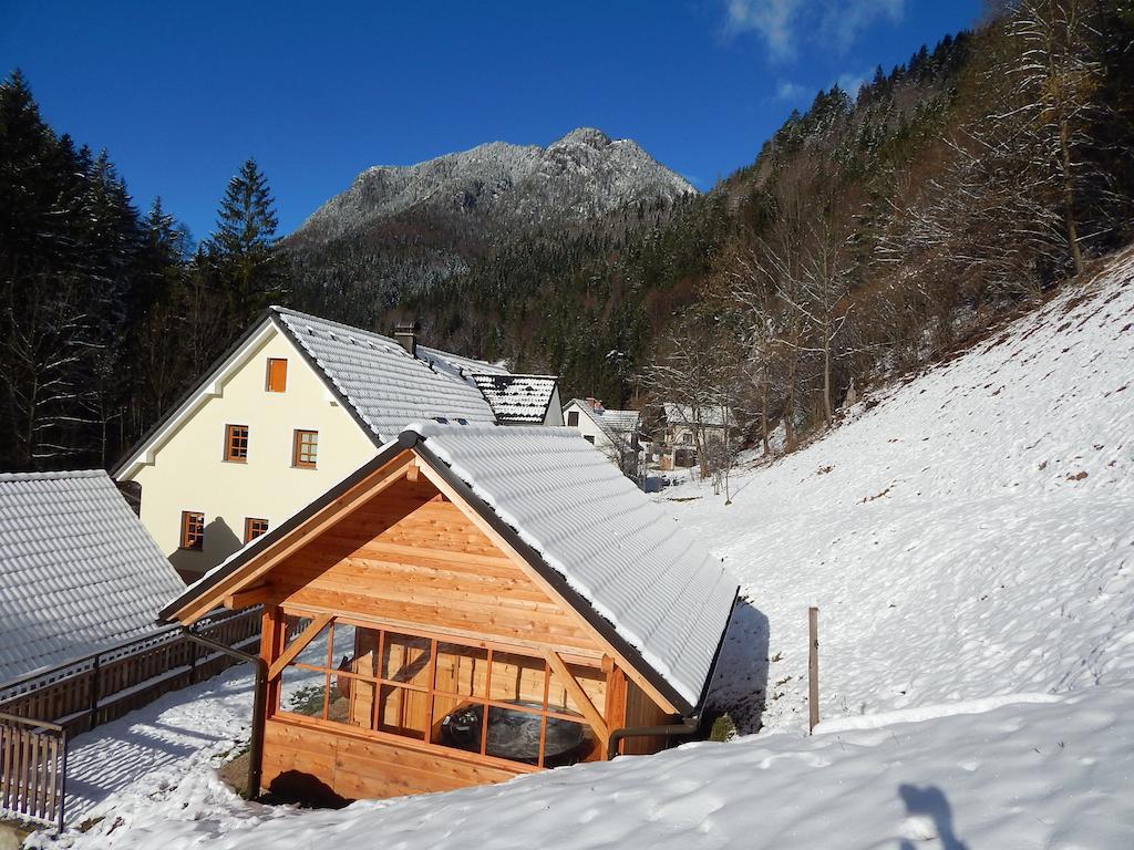 Farmhouse Štiftar Solčava Exteriör bild