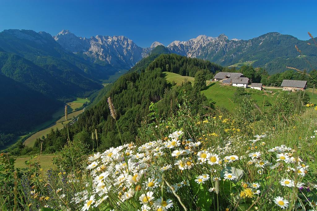 Farmhouse Štiftar Solčava Exteriör bild
