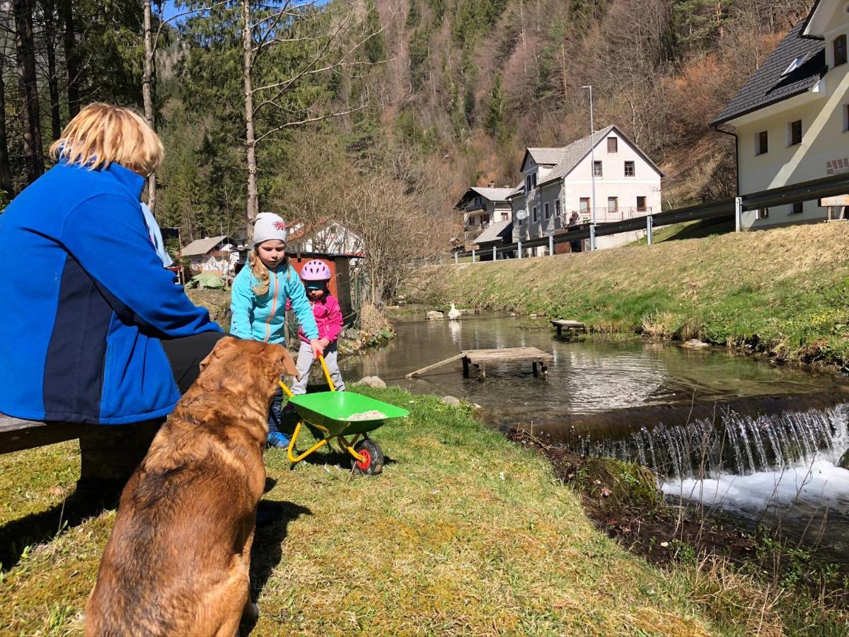 Farmhouse Štiftar Solčava Exteriör bild